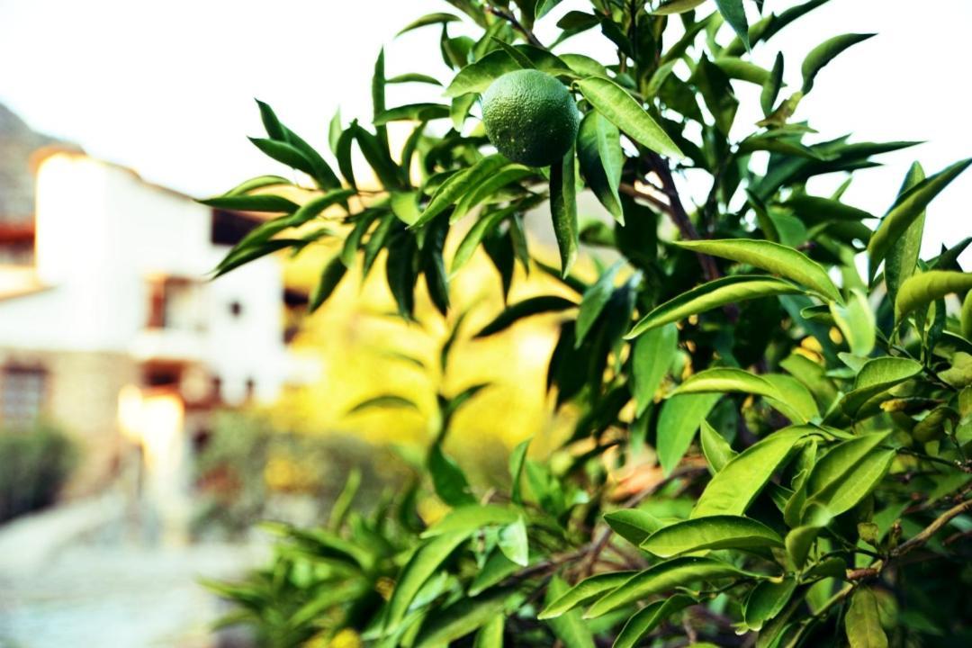 Pir Efes Konaklari Izmir Exteriör bild