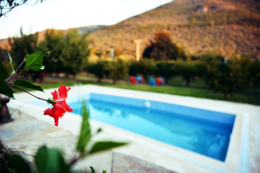 Pir Efes Konaklari Izmir Exteriör bild